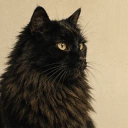 Kit
